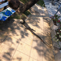 фото из отзыва ID 913723