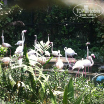 фото из отзыва ID 913723