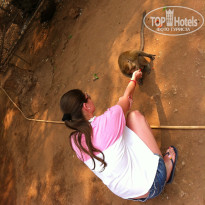 фото из отзыва ID 913723