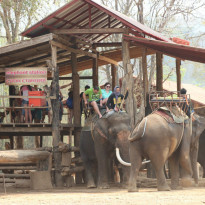 фото из отзыва ID 913723