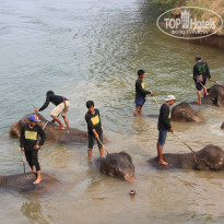 фото из отзыва ID 913723