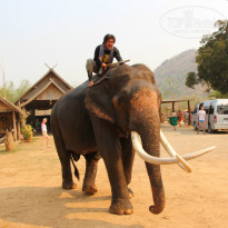 фото из отзыва ID 913723