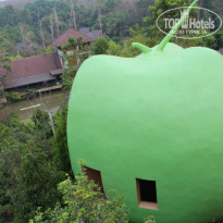 фото из отзыва ID 913723