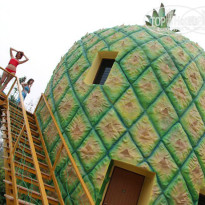 фото из отзыва ID 913723