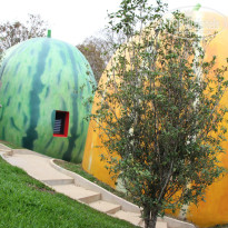 фото из отзыва ID 913723