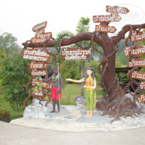 фото из отзыва ID 913723