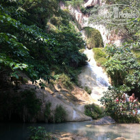 фото из отзыва ID 913723