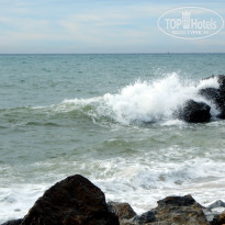 фото из отзыва ID 913814