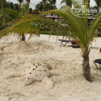 фото из отзыва ID 913833