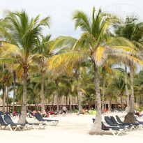 фото из отзыва ID 913833