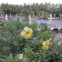 фото из отзыва ID 913982