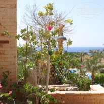 фото из отзыва ID 91406