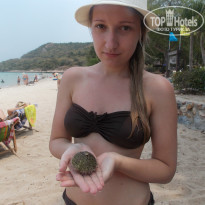 фото из отзыва ID 914165