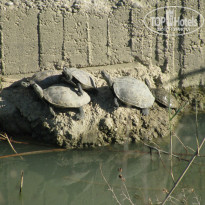 фото из отзыва ID 914180