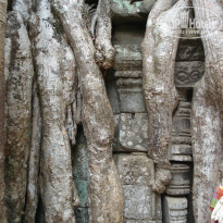 фото из отзыва ID 914187