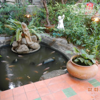 фото из отзыва ID 914310