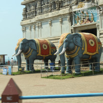 фото из отзыва ID 914413