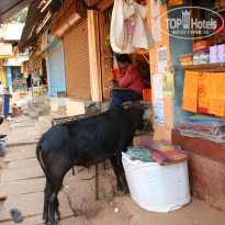 фото из отзыва ID 914413