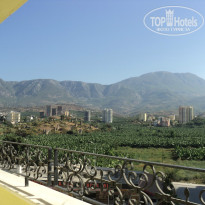 фото из отзыва ID 914384