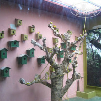 фото из отзыва ID 914722