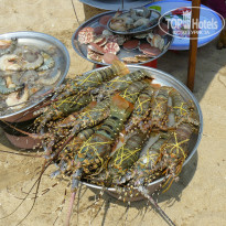 фото из отзыва ID 914724