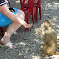 фото из отзыва ID 914724