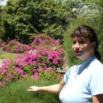 фото из отзыва ID 914724