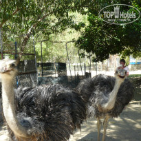 фото из отзыва ID 914724