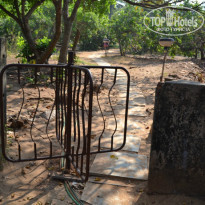 фото из отзыва ID 914922