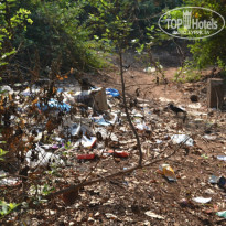 фото из отзыва ID 914922