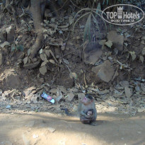 фото из отзыва ID 914249