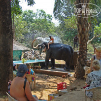 фото из отзыва ID 914249