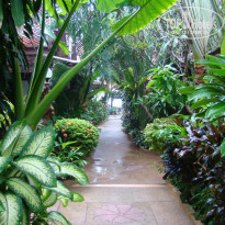 фото из отзыва ID 91538