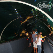 фото из отзыва ID 915055