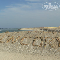 фото из отзыва ID 915064