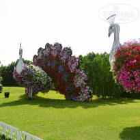 фото из отзыва ID 915126