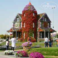 фото из отзыва ID 915126