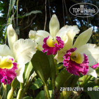 фото из отзыва ID 915155