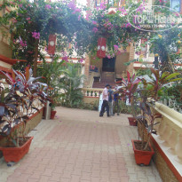 фото из отзыва ID 915158