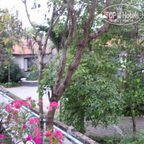 фото из отзыва ID 915261