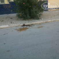 фото из отзыва ID 915291