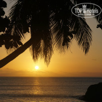 фото из отзыва ID 915302