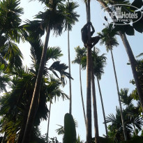 фото из отзыва ID 915341