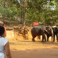 фото из отзыва ID 915341