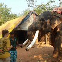 фото из отзыва ID 915341