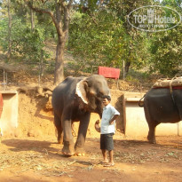 фото из отзыва ID 915341