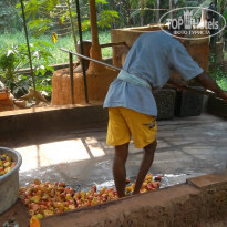 фото из отзыва ID 915341