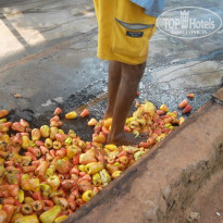 фото из отзыва ID 915341