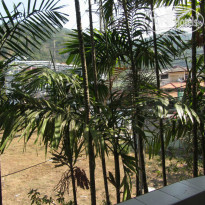 фото из отзыва ID 915350