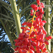 фото из отзыва ID 915531